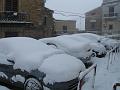 Neve (45)